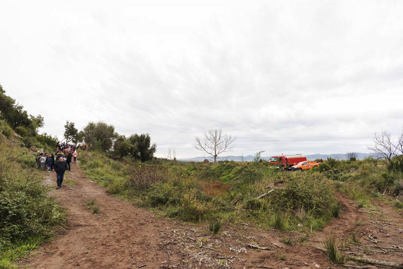 Opération reboisement dans l'Estérel par les élèves de Fréjus