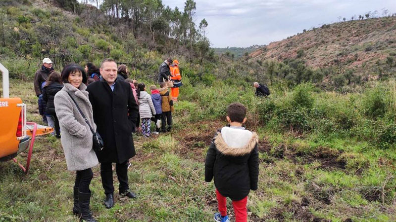 Opération reboisement dans l'Estérel par les élèves de Fréjus