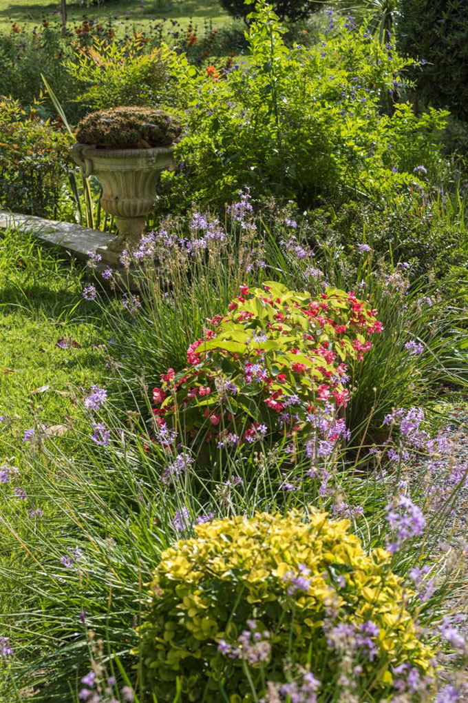 Label 3 fleurs et un prix spécial pour Fréjus en 2020 !