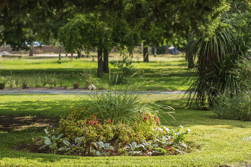 Label 3 fleurs et un prix spécial pour Fréjus  en 2020 !