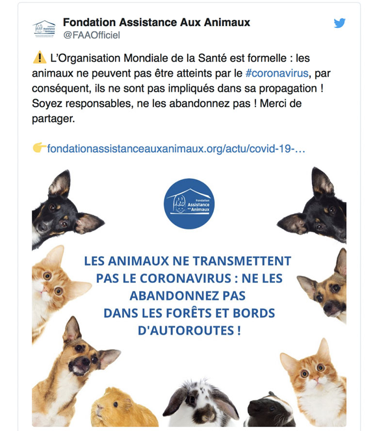 Les associations d’assistance aux animaux tirent la sonnette d'alarme