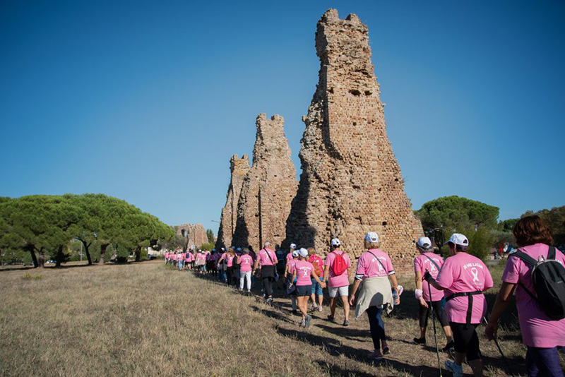 Octobre Rose fait bel et bien partie du paysage fréjusien !