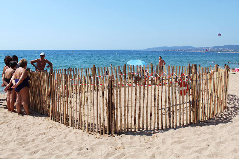 Deux tortues marines ont pondu à Fréjus 