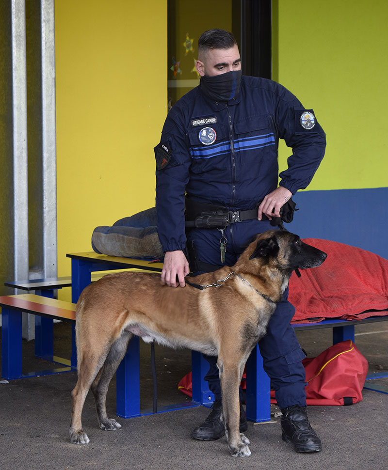 Lutte contre le harcèlement scolaire : La brigade cynophile s’invite à l’école Via Aurelia