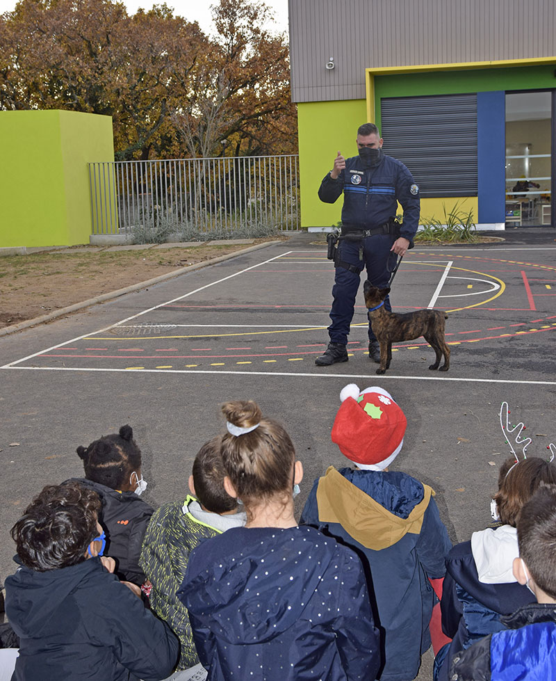 Lutte contre le harcèlement scolaire : La brigade cynophile s’invite à l’école Via Aurelia