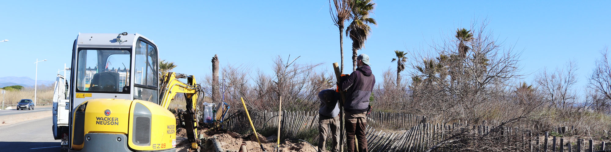 Image d'illustration : 100 nouveaux arbres plantés à Saint-Aygulf