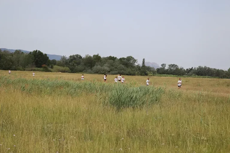 L’école Aubanel fait son cross à la Base nature