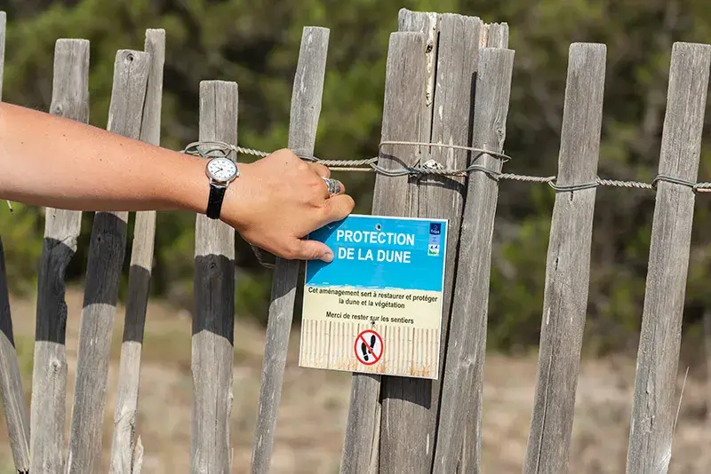 Mise en place d'un sentier botanique sur la plage du Pacha