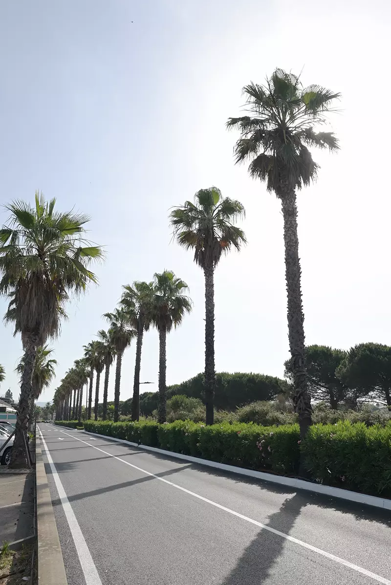 Nouveaux aménagements avenue Eugène Joly, au Nord de la Base nature