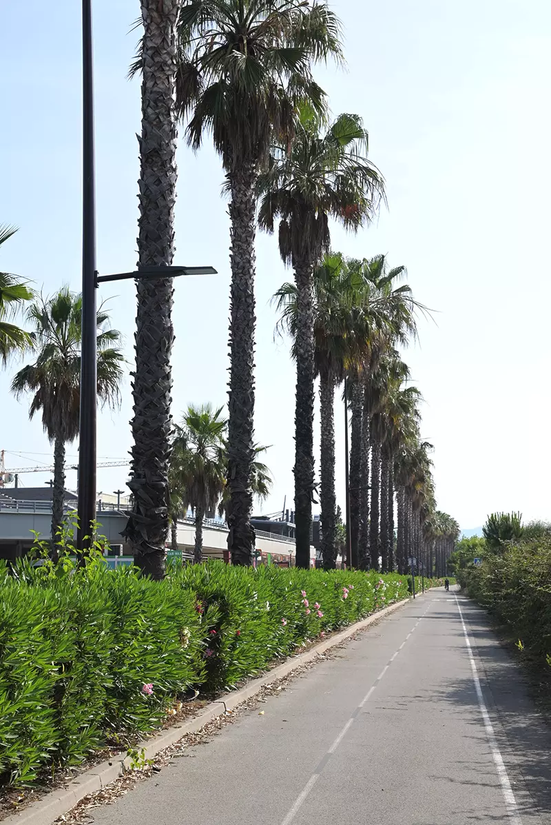 Nouveaux aménagements avenue Eugène Joly, au Nord de la Base nature