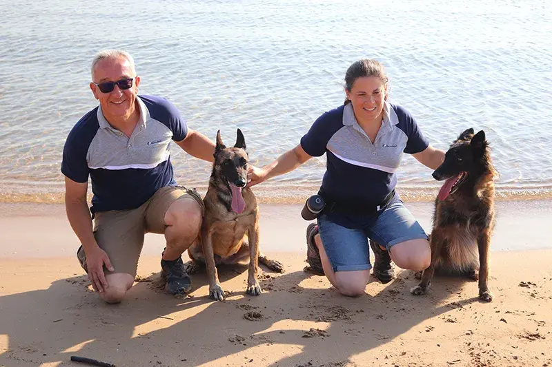 Détection de nids de tortues marines sur les plages de Fréjus