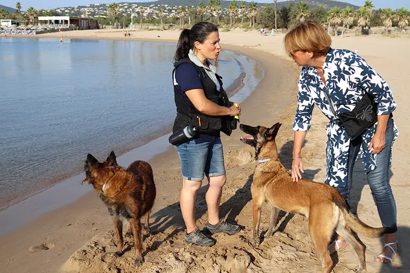 Détection de nids de tortues marines sur les plages de Fréjus