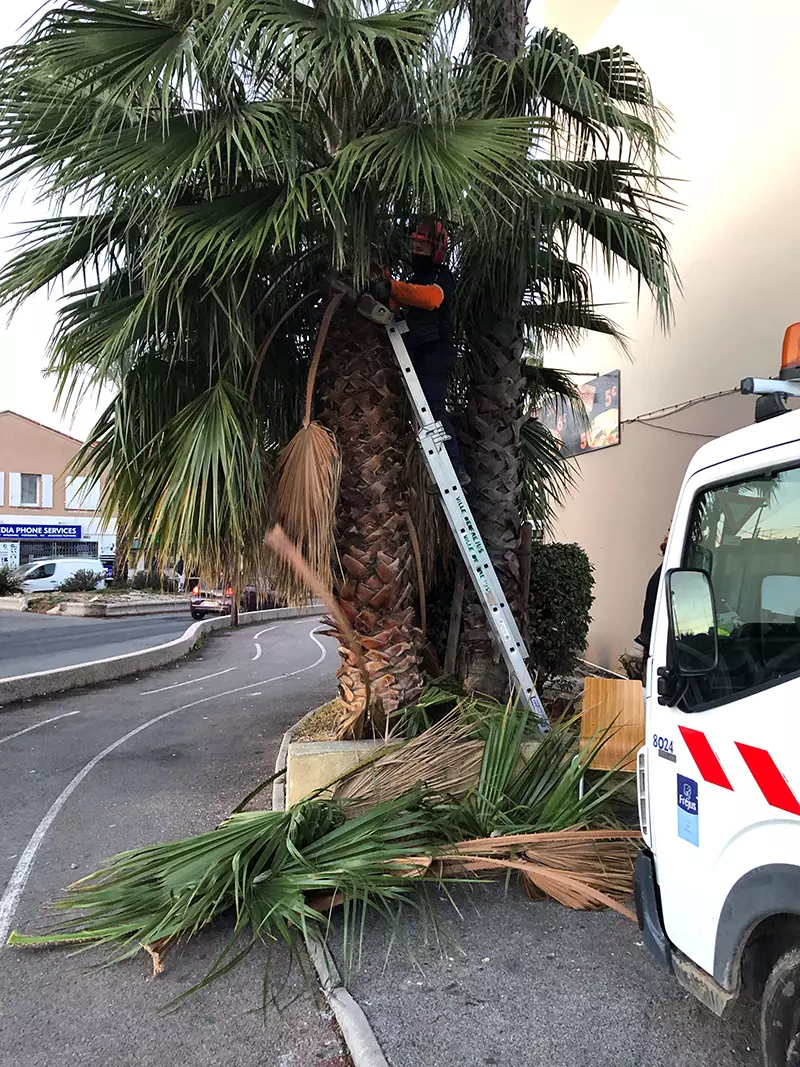 Opération tranquillité publique à la Gabelle