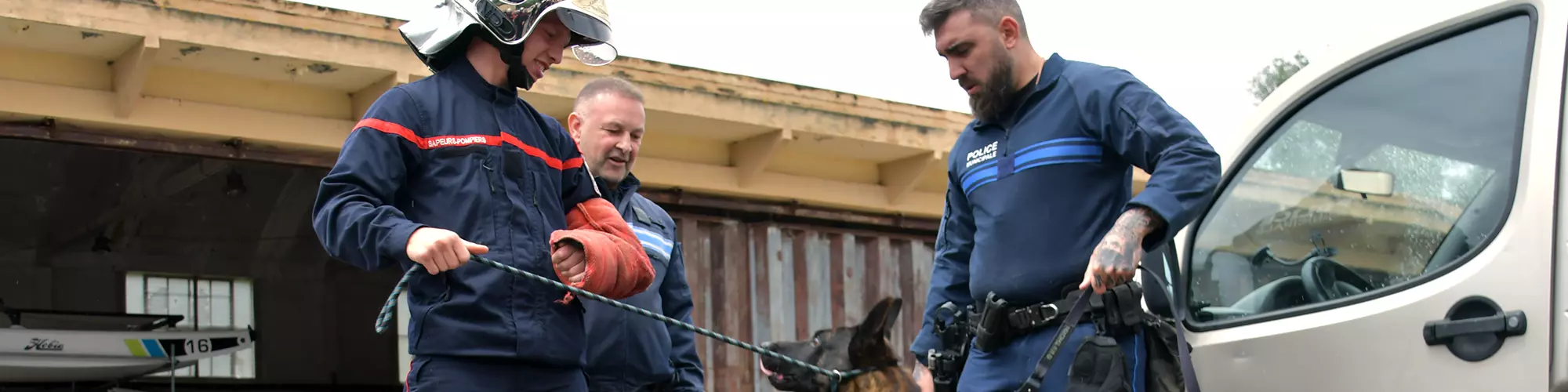 Image d'illustration : La brigade canine de la Ville forme les sapeurs-pompiers du Var