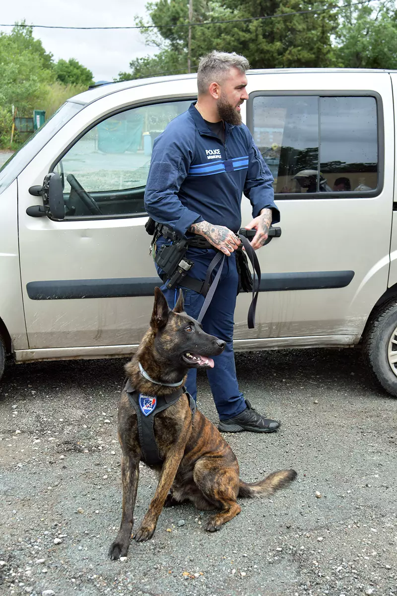 La brigade canine de la Ville forme les sapeurs-pompiers du Var