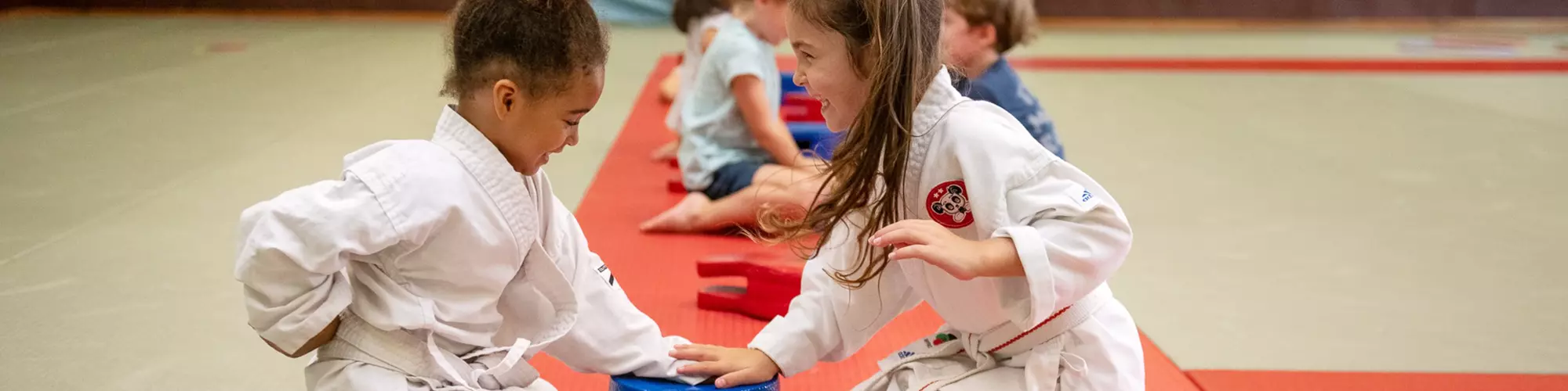 Image d'illustration : Stages sportifs à l’AMSLF cet été