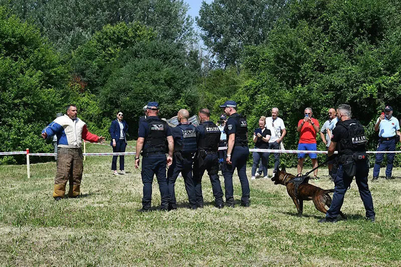 démonstrations dynamiques dans laquelle un chien immobilise un "agresseur"