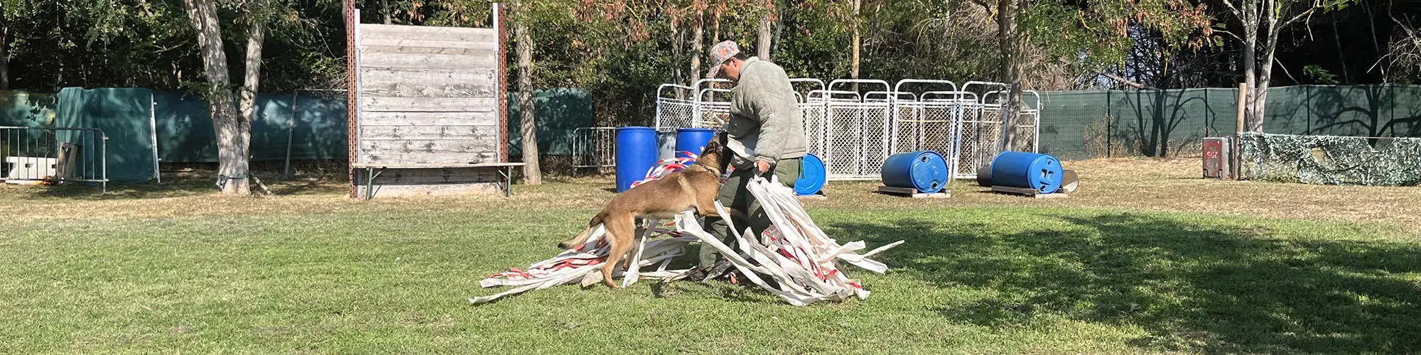 Image d'illustration : Le CLJ en visite à la brigade canine