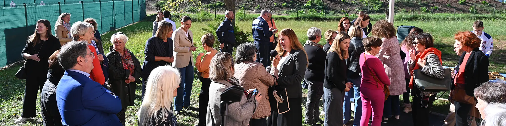 Image d'illustration : Journée internationale de lutte contre les violences faites aux femmes