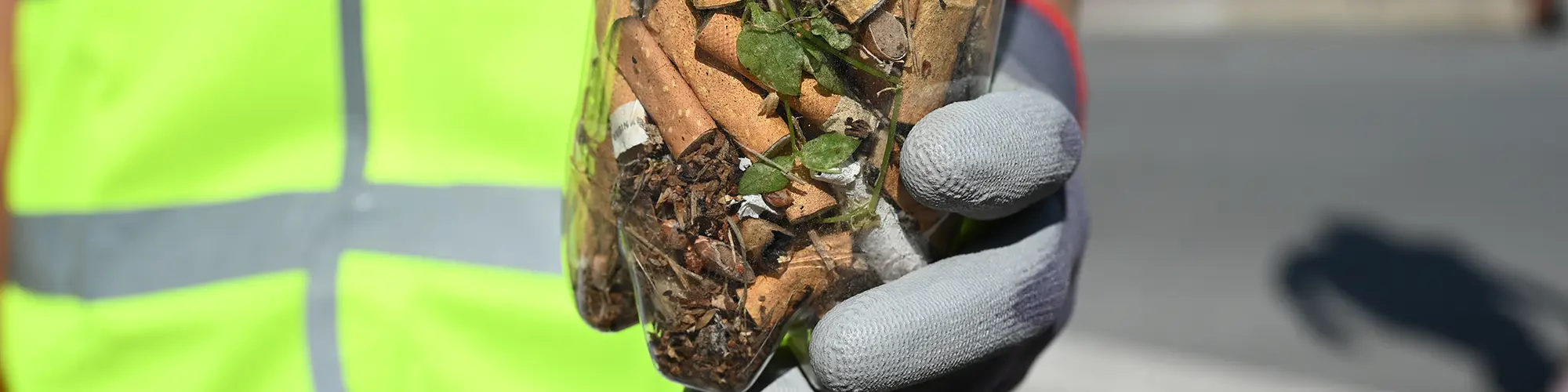 Image d'illustration : L’association Planète Actions agit pour Fréjus