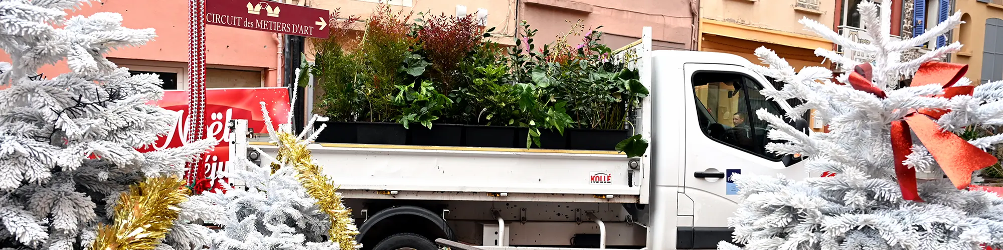 Image d'illustration : De nouvelles jardinières en centre-ville !