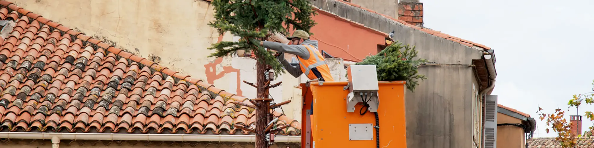 Image d'illustration : Travaux d’entretien de la végétation à proximité des lignes électriques