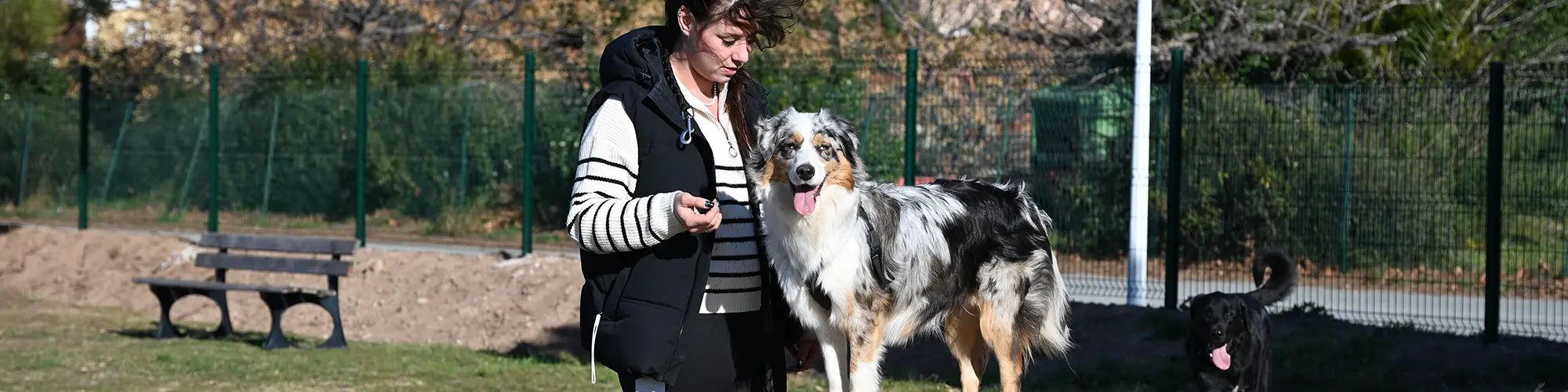 Image d'illustration : Espace public : stop aux déjections canines